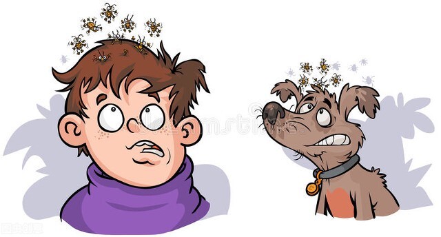 乡言俚语的意思,武汉方言俚语大全