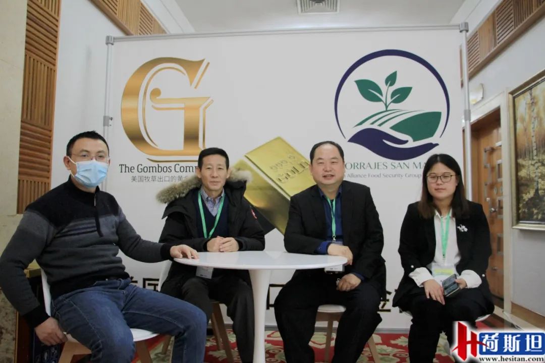 2020年全国燕麦草行情及销售,2023年燕麦草市场价格分析