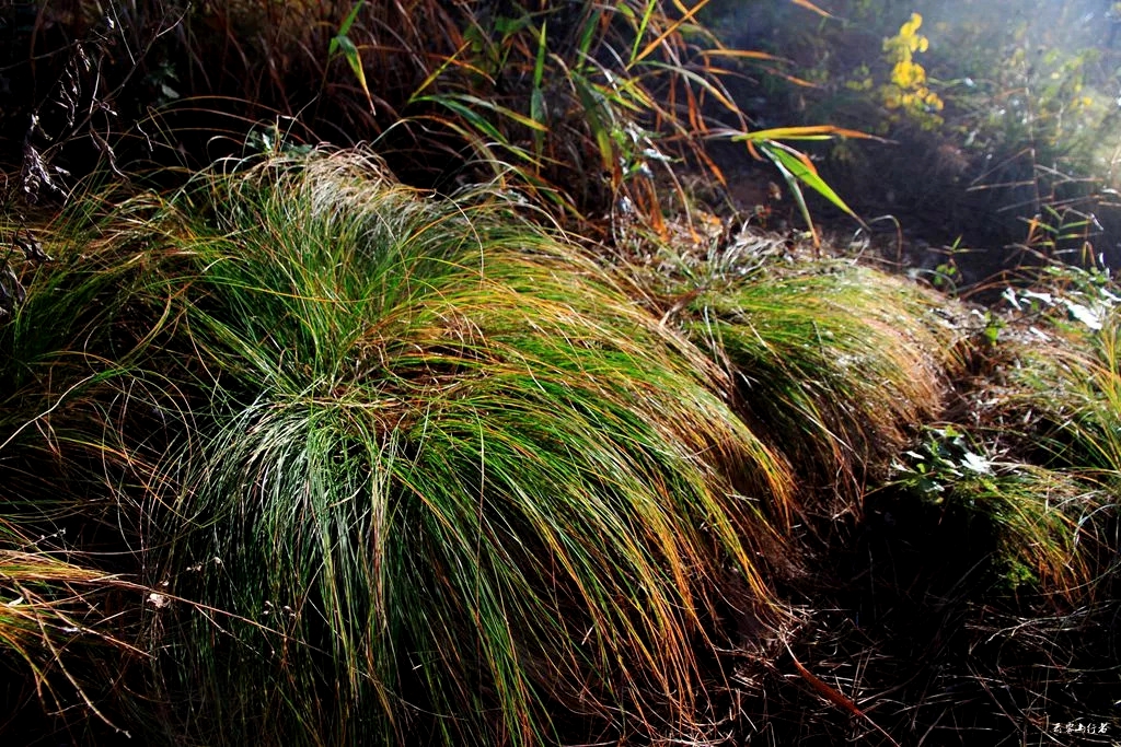 东北的“靰鞡(乌拉)”已经渐行渐远,留下的只剩记忆了