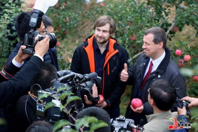 鍔涢噺2022,鍔涢噺2020