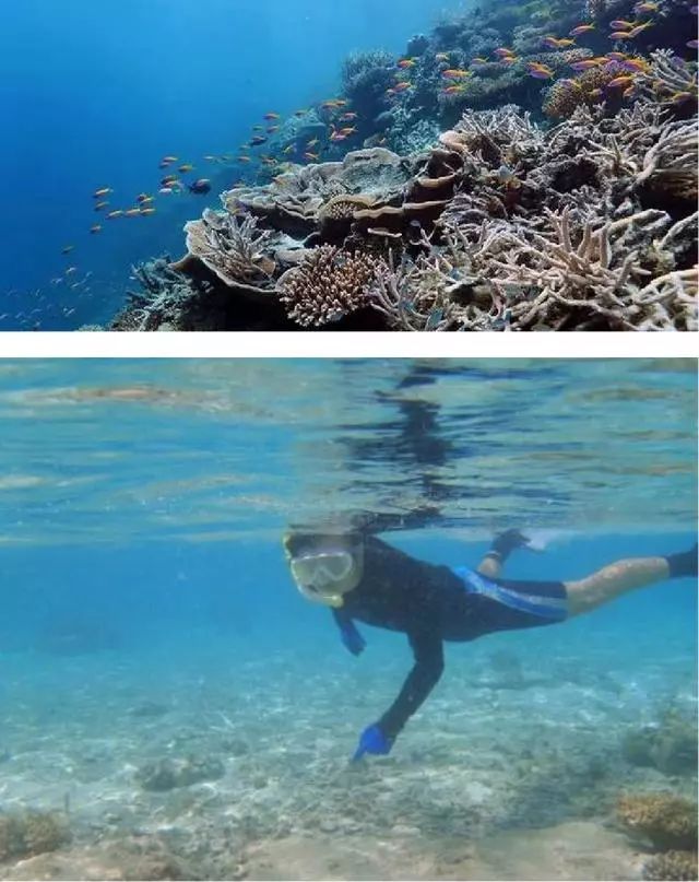 马尔代夫为什么那么多人想去,马尔代夫为什么能那么让人向往