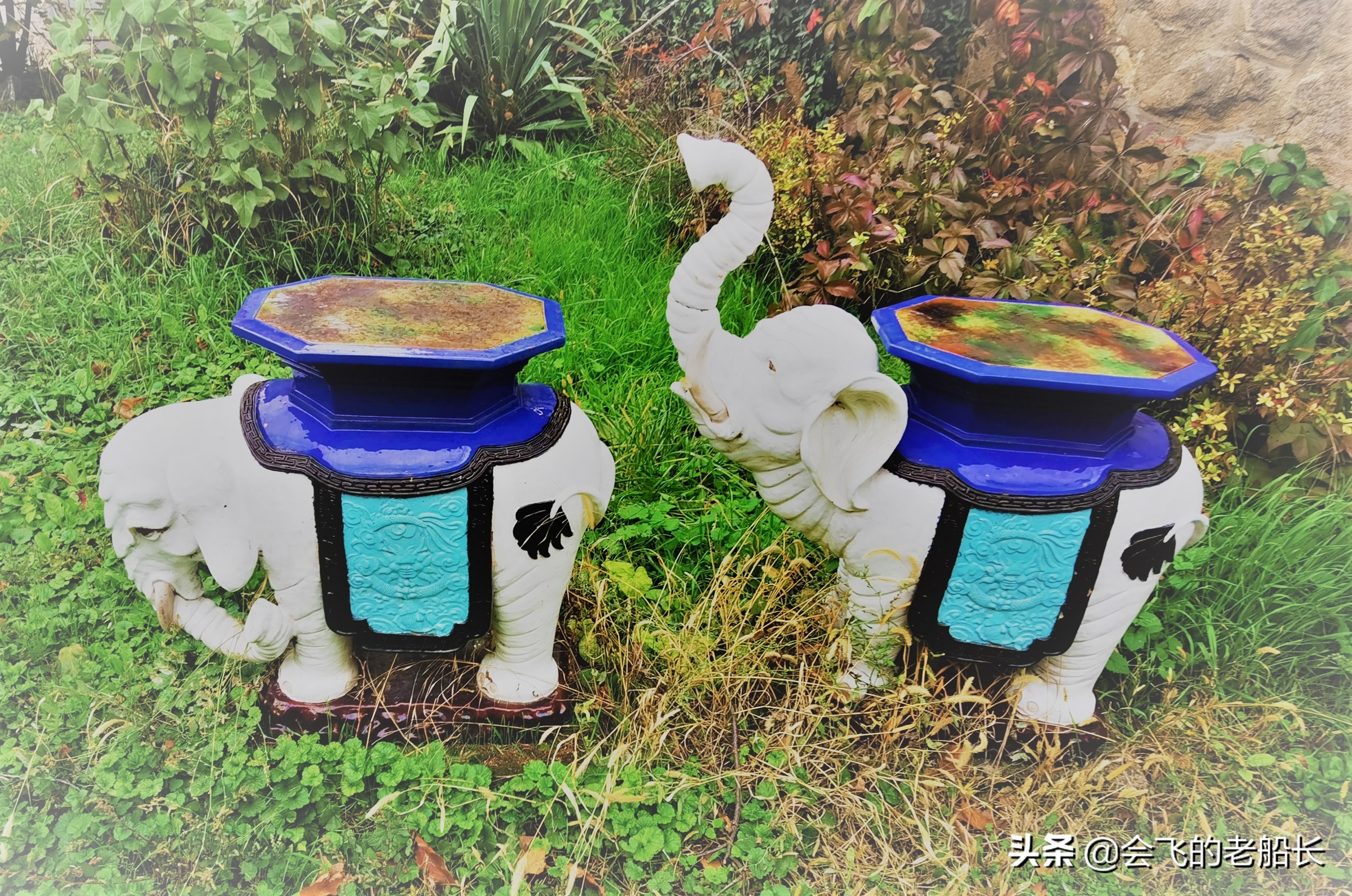 那头会作画的神奇大象经历了三道永远的痛苦，你会让孩子这样吗？