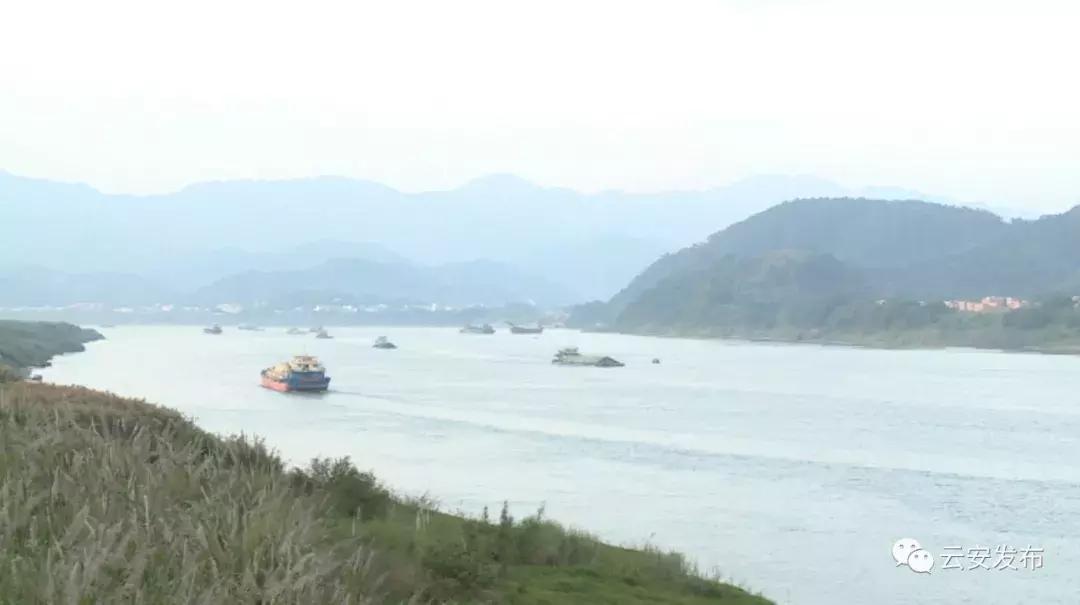 农民群众喝上放心水,确保人民群众喝上放心茶