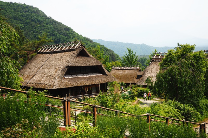 日本东京美食攻略自由行,东京旅游美食自由行路线攻略