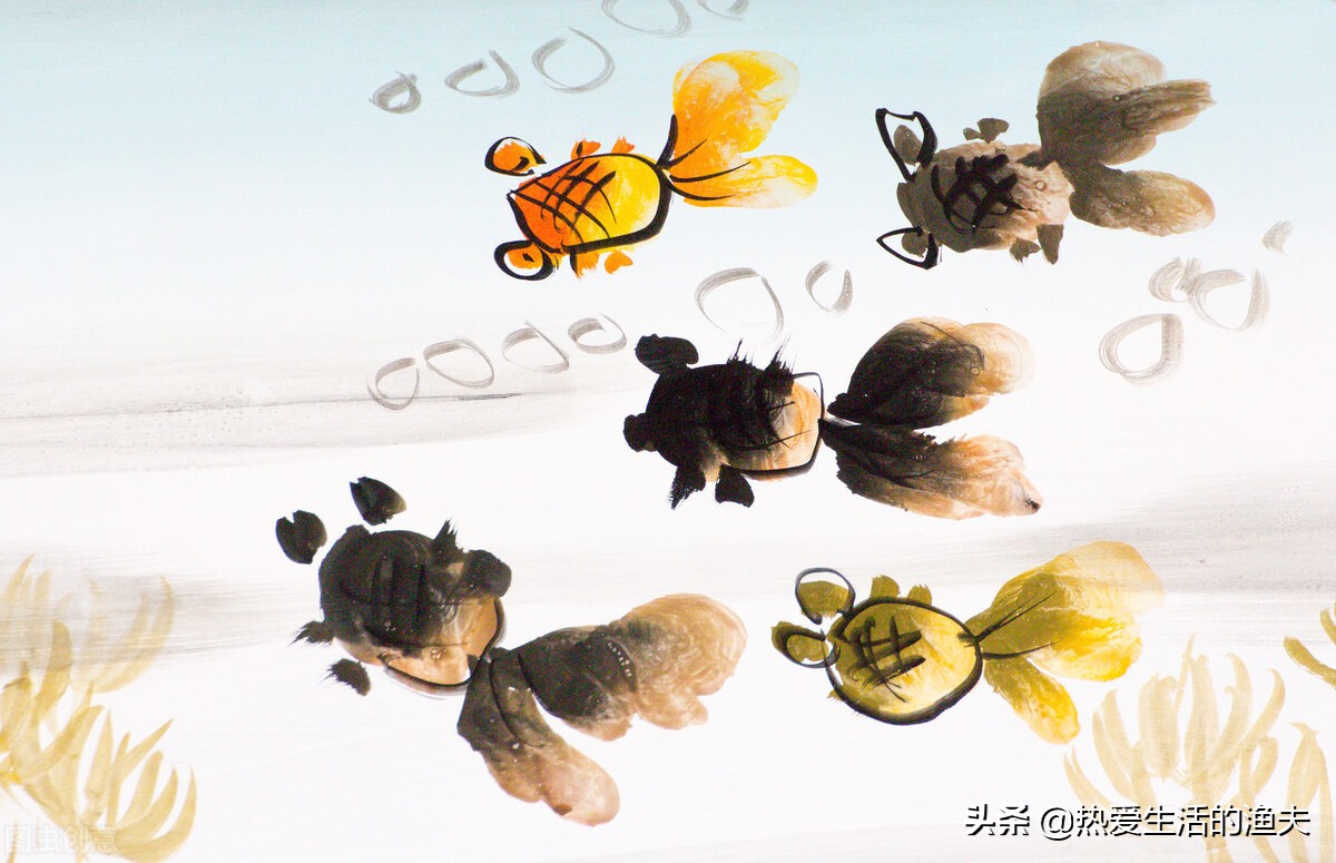 草金鱼长时间不喂食会饿死吗,草金鱼不喂食会不会饿死