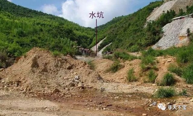 寿山石的入门知识,寿山石品种图片介绍