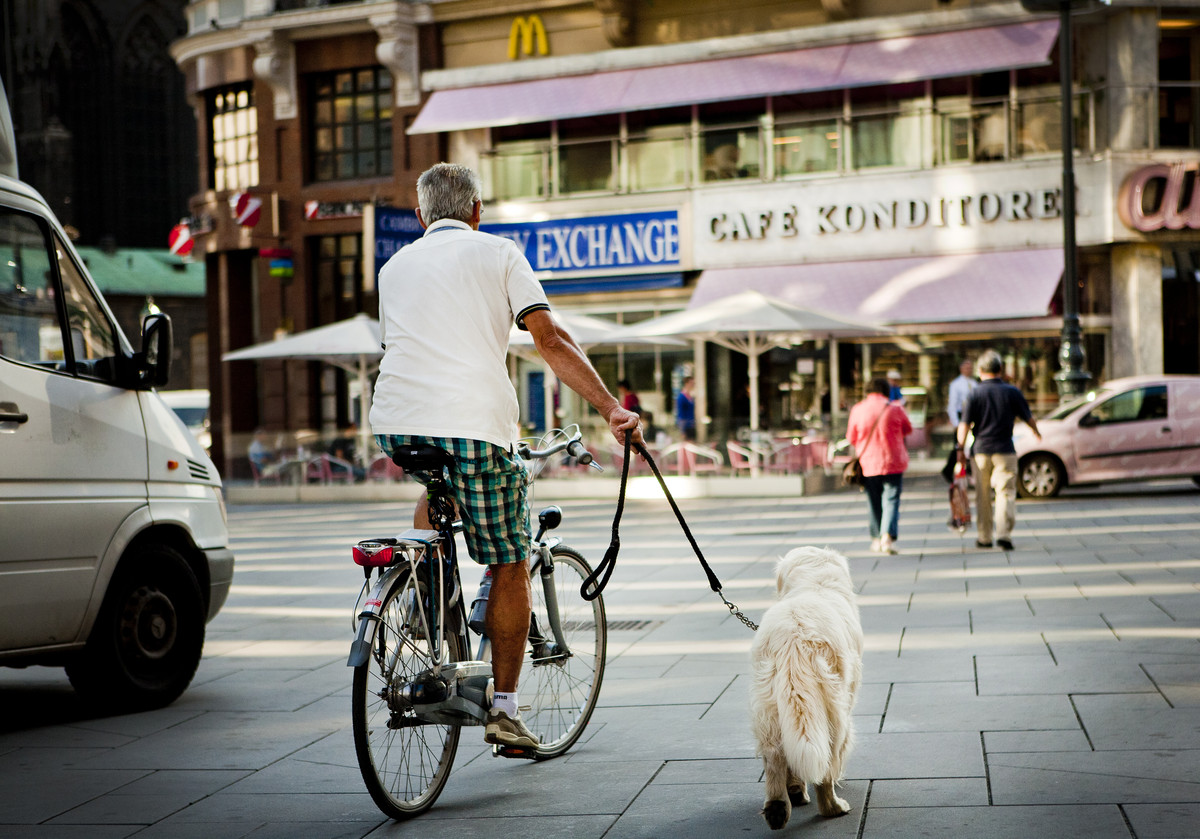 维也纳现在情况,维也纳到底有多可怕