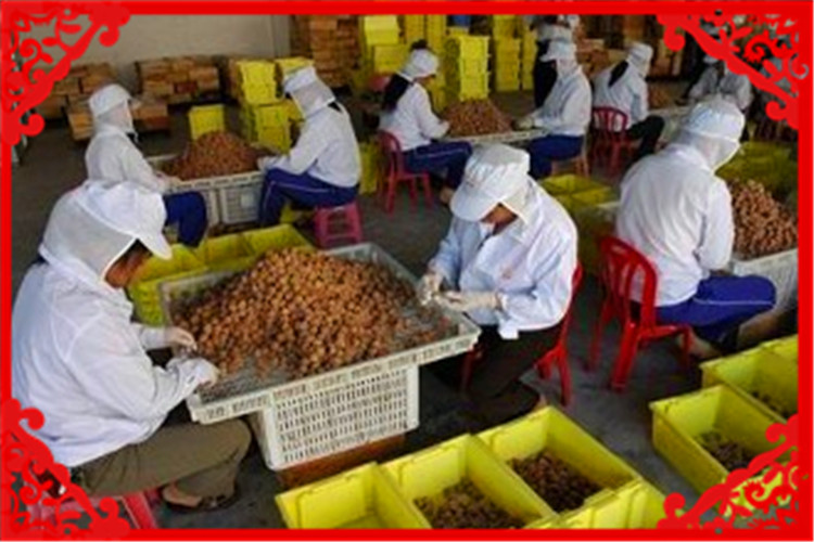 投资5万元小型加工厂,5万元可以开什么加工厂