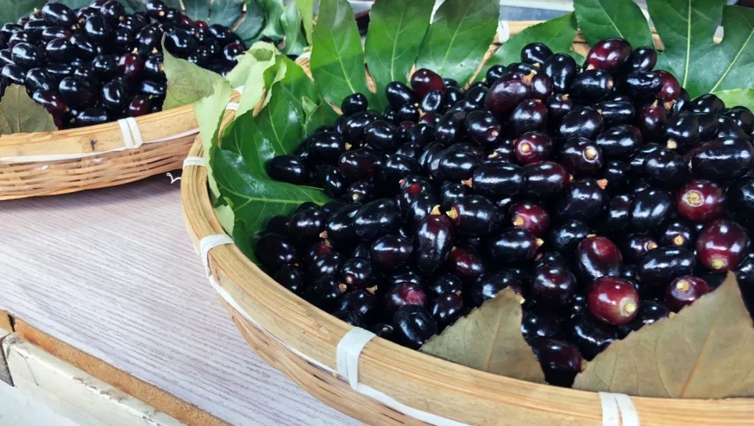 涓婃捣娴︿笢涓婃捣浜哄,娴︿笢涓婃捣浜哄