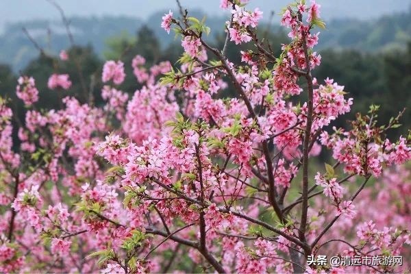 寒假亲子游推荐4-5天游,暑假亲子游玩地点推荐3天2夜