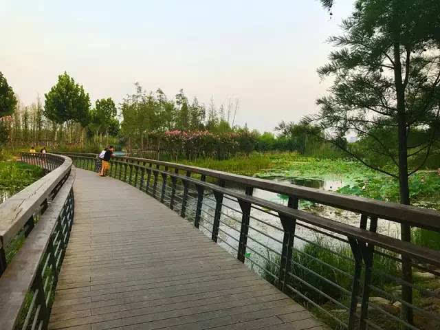 郑州五一近郊游的好地方,不出郑州就能游玩的地方