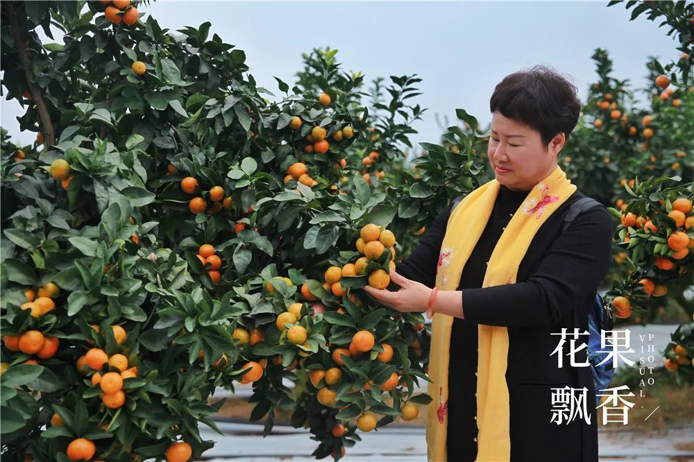 2020种什么水果最赚钱,2021种植什么水果最赚钱
