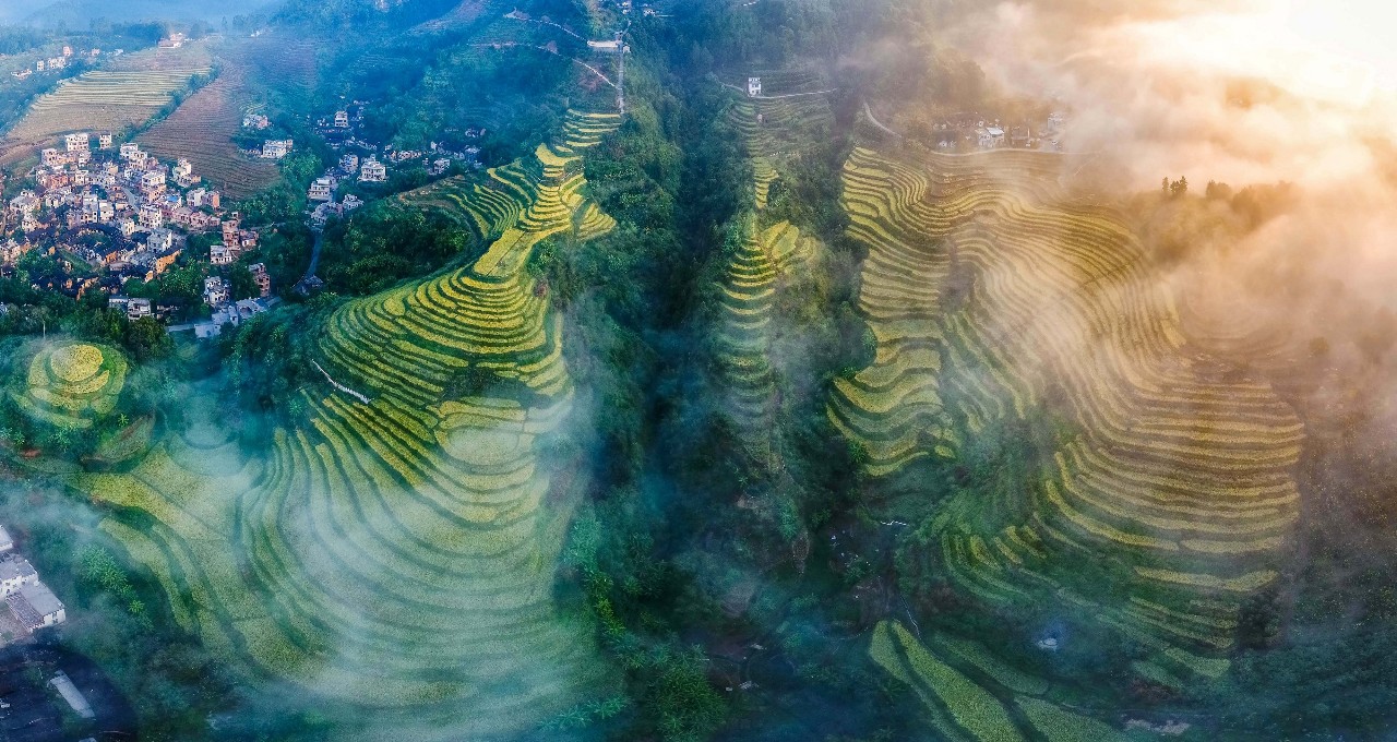 世界客都家乡梅州,梅州为什么被称为世界客都