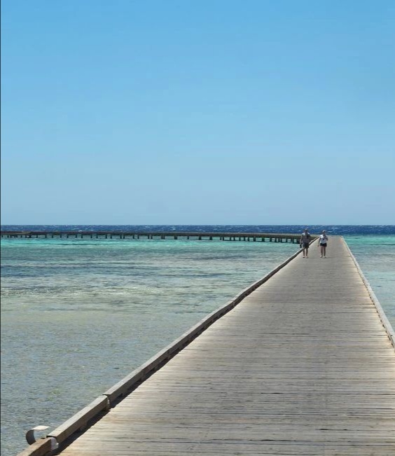 走进埃及撒哈拉沙漠,走进埃及神秘千年古城