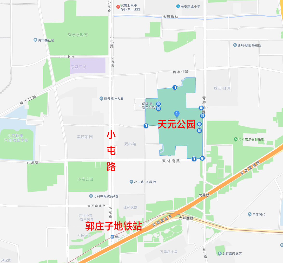北京小众银杏最佳观赏地,北京小众公园效果图