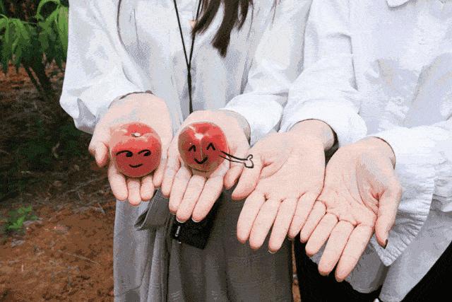 泡打粉小苏打碱面酵母区别及用途,食用碱小苏打泡打粉酵母粉区别