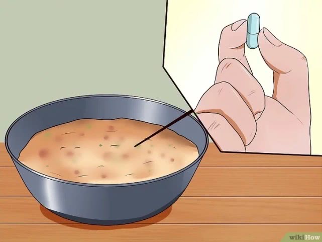 演技爆表！为了不吃药这猫学会了螃蟹的技能