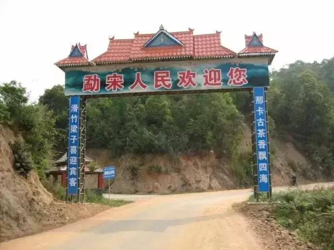 鍏ぇ鑼跺北绉戞櫘,浜戝崡鍏ぇ鑼跺北浠嬬粛