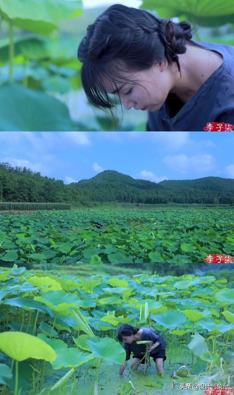 李子柒生活大揭秘,多少人羡慕李子柒的生活