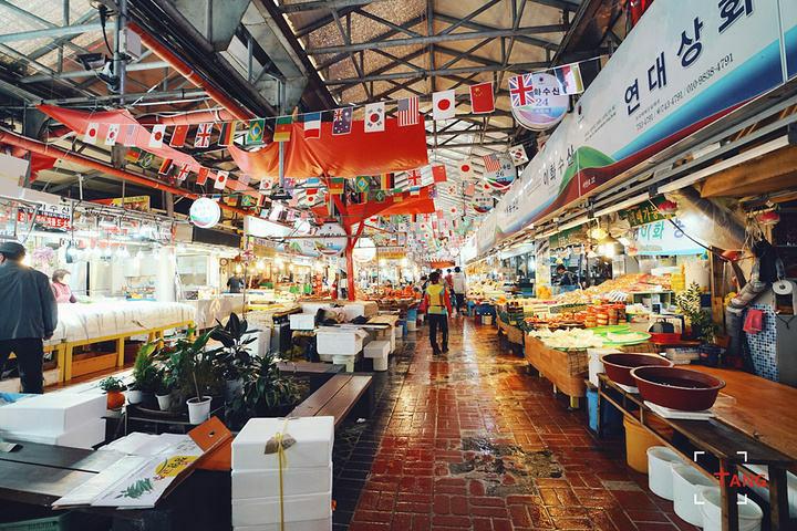 韩国济州岛住宿攻略,韩国济州岛旅游攻略