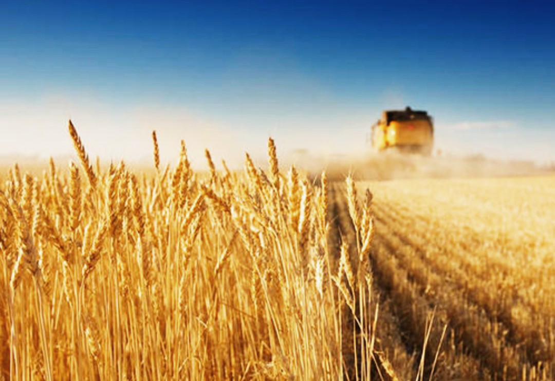 掌握四点短视频剪辑知识，学一点创新知识，下一个视频达人就是你