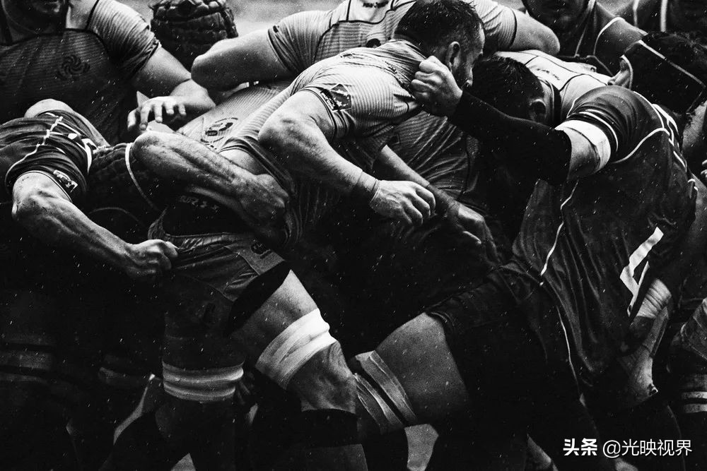 2022年度的ipa摄影大赛获奖作品,2020ippa摄影大赛奖项公布