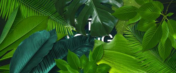 讲真!每个男人体内都住着一位“老司机”