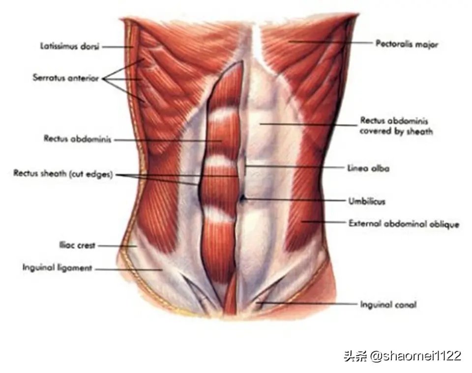 产后瑜伽跟普通瑜伽有什么区别吗,产后瑜伽修复最佳时间是什么时候