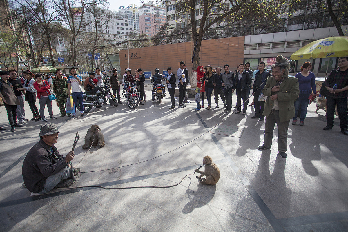 兰州耍猴人,甘肃兰州的耍猴艺人