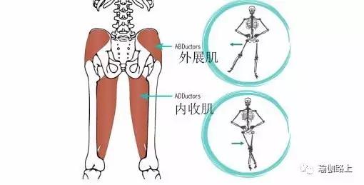 双腿并拢放平无法坐直,双腿并拢很难