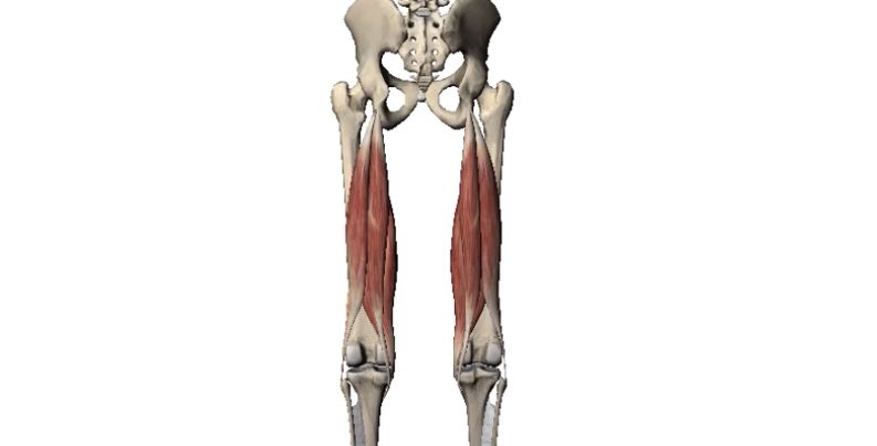 柔韧性太差的每天怎么拉伸改善,柔韧性突然变差是长高了吗