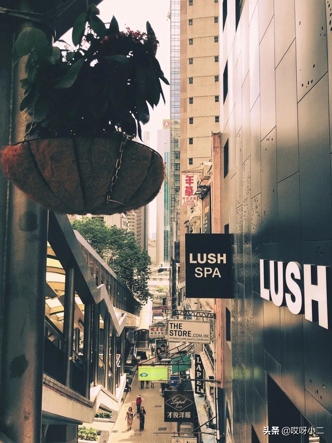 “天人合一”的香港，是我最中意的地方