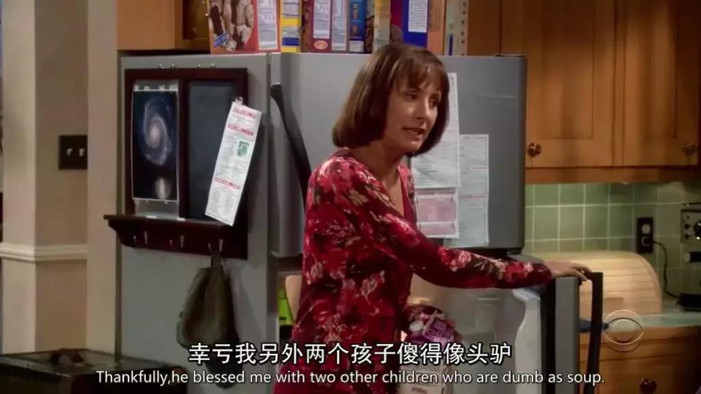 《生活大爆炸》大结局：我28岁，追了它整整9年，你呢？