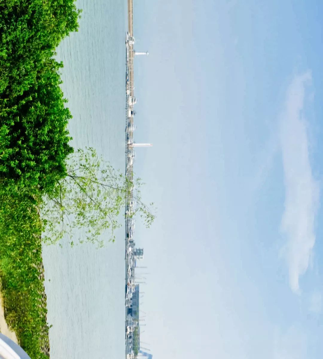 深圳蛇口前世今生,深圳蛇口有怎样的辉煌历史