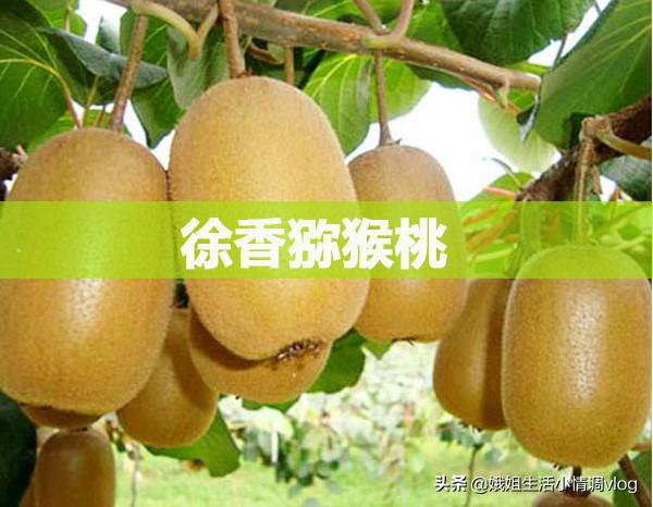 陕西眉县撤县最新消息,眉县撤县设市最新信息