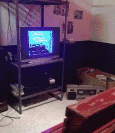 在野外发现甘蔗,在山里发现甘蔗