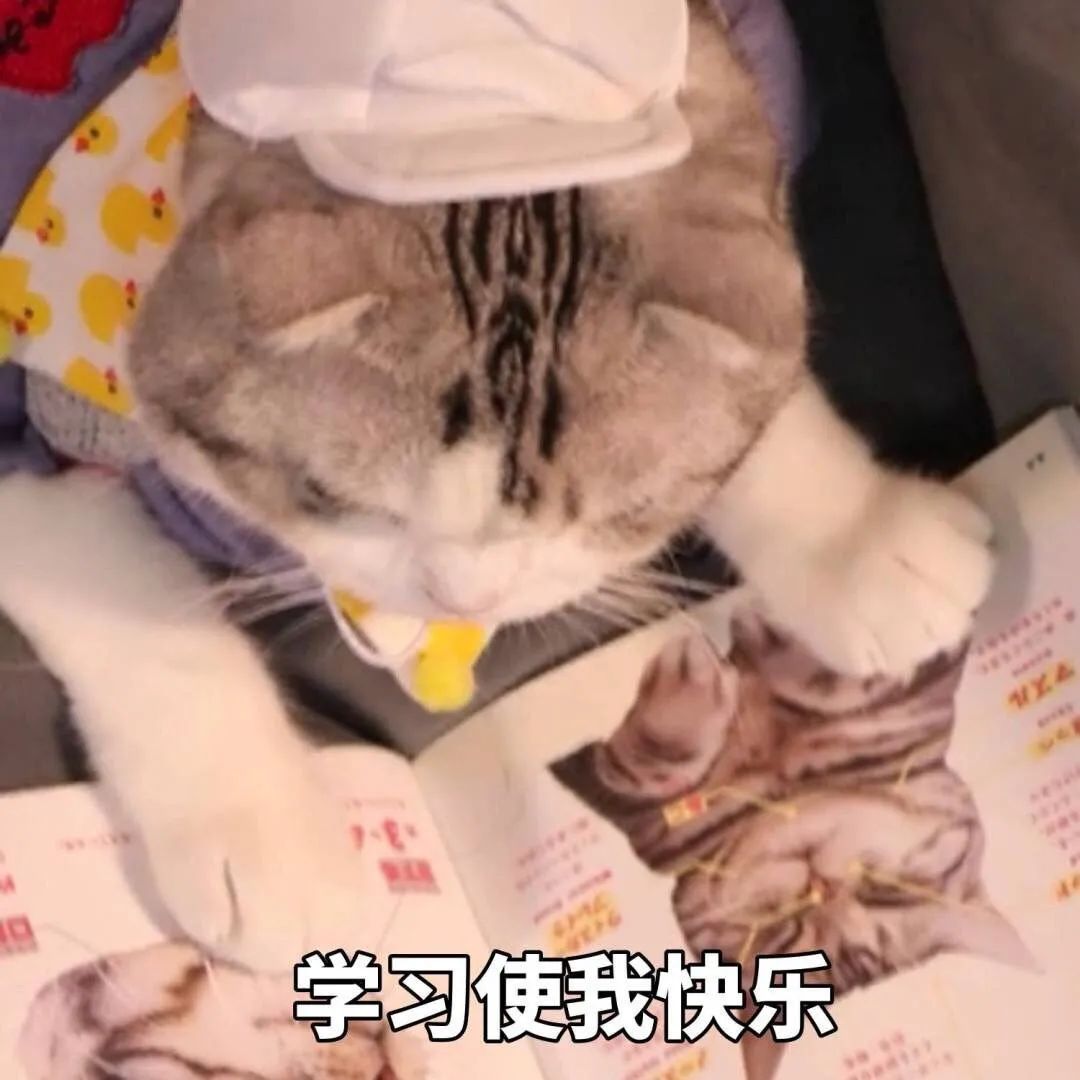 猫咪意外急救法,猫咪尾巴受伤怎么处理伤口