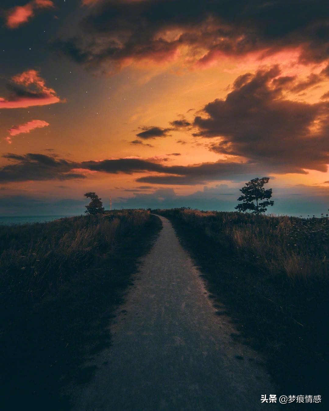 两性之间出现感情问题怎么缓解,婚姻中感情冷淡该如何去解决