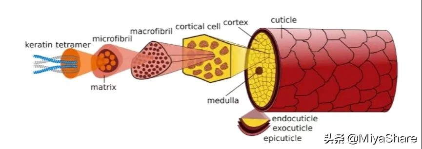 头屑太多了怎么办怎么洗也洗不掉,雪花一样的头屑怎么去除