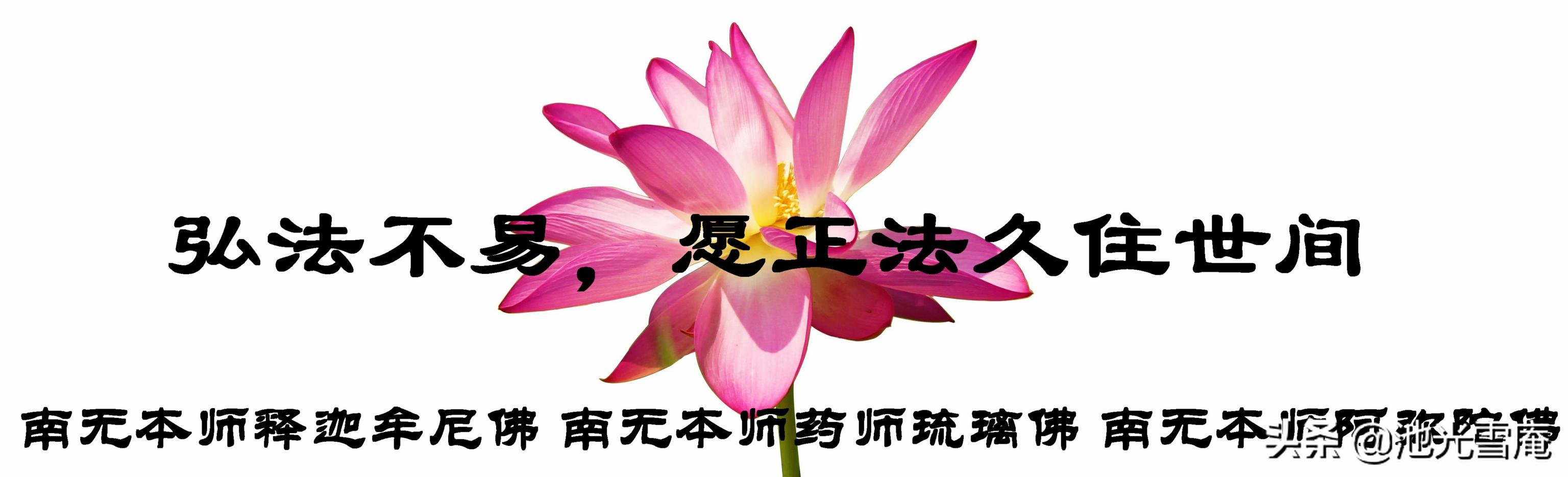 佛教僧人被杀,佛教被日本人屠杀的后果