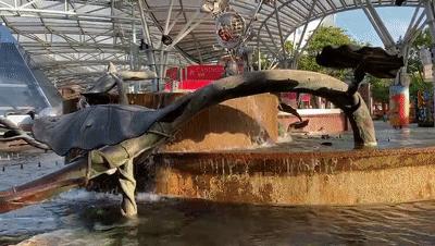 疫情期间去埃及旅游的亲历,疫情期间从深圳直飞洛杉矶体验