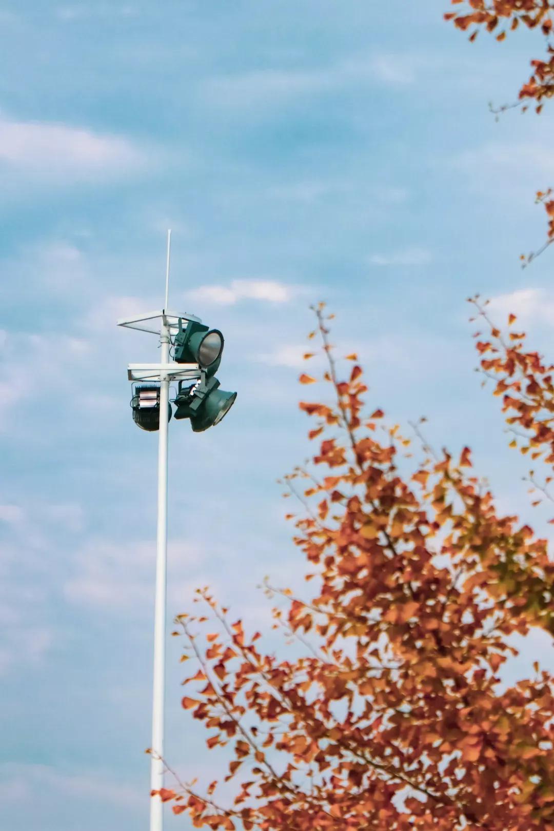 江苏省高校(六十六)苏州大学应用技术学院