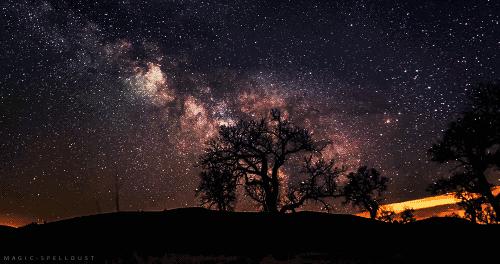 能量共振推动力,能量共振细胞再生