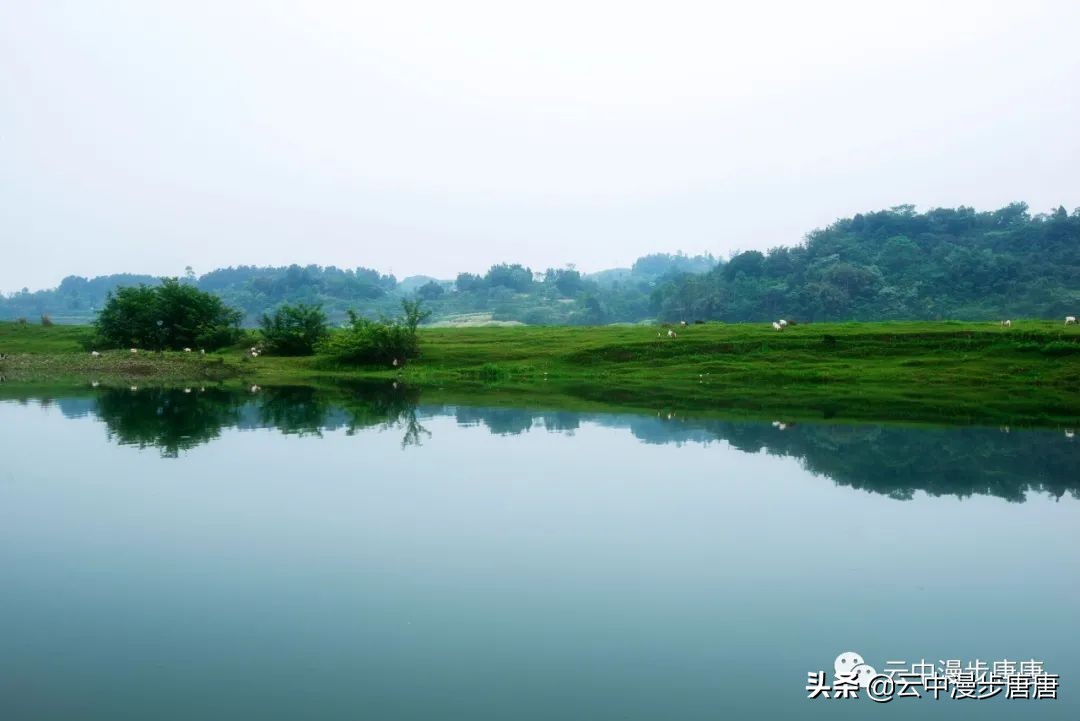 四川岳池坪滩旅游,岳池坪滩游玩攻略