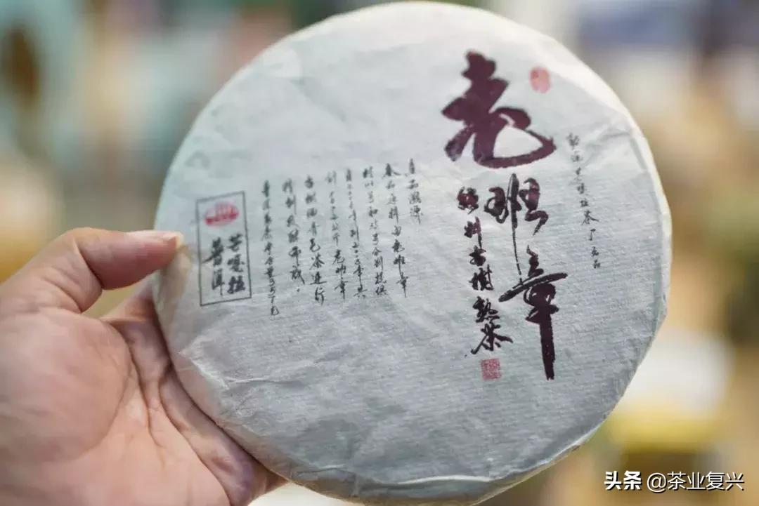为什么用老班章做熟茶便宜,用老班章发酵的熟茶勐海有几家