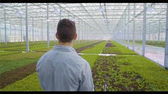 温室大棚种植常见的优点有哪些