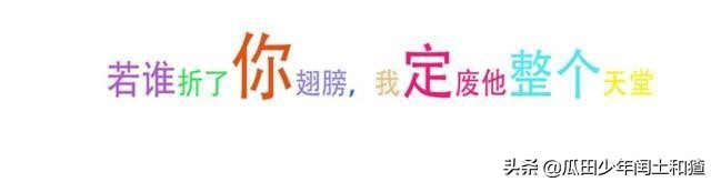 那些年QQ羞耻play，你中了几条？