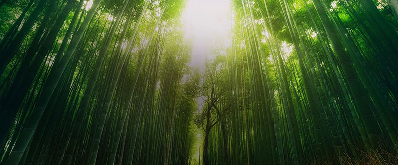 四川旅游踩坑的地方,贵州旅游踩坑