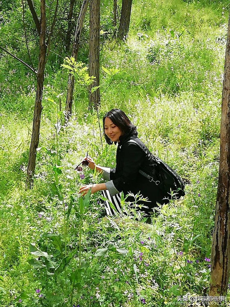 赴一场槐花的邀约——宝鸡作家赴扶风野河山采风