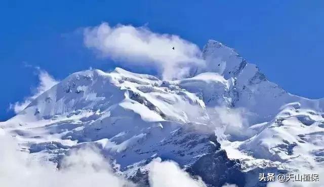 *疆新**克州，向全世界发出邀请！即将涌来大批人马
